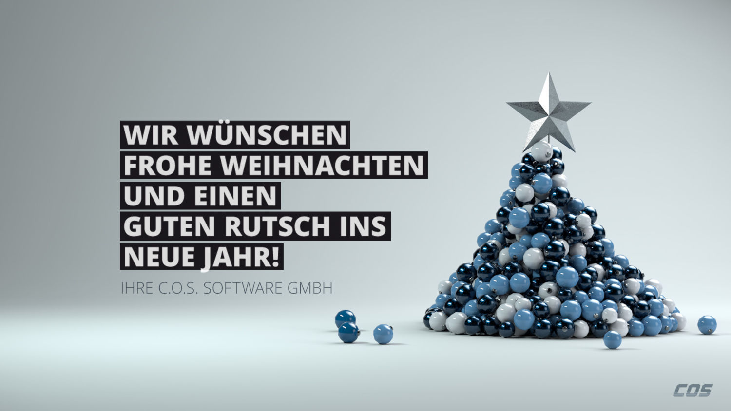 Wir wünschen Frohe Weihnachten und einen Guten Rutsch ins Neue Jahr